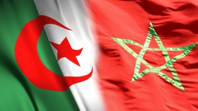 صورة حملة إعلام النظام الجزائري العدائية ضد المغرب تعكس حالة الارتباك الذي يعيشه هذا النظام (محلل سياسي)