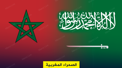 صورة المملكة العربية السعودية تجدد دعمها لمبادرة الحكم الذاتي في إطار سيادة المغرب ووحدته الترابية