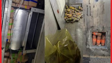 صورة ميناء طنجة المتوسط.. إحباط محاولة تهريب 275 كيلوغرام من مخدر الشيرة على متن شاحنة للنقل الدولي