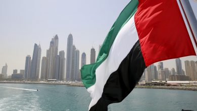 صورة الإمارات تعلن عن تعديلات قانونية تجيز منح الجنسية