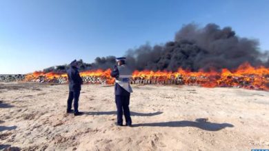 صورة إتلاف أزيد من 20 طنا من مخدر الشيرا في ضواحي الداخلة