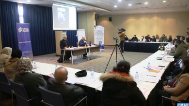 صورة لقاء تنسيقي بين المؤسسات العمومية وجمعيات المجتمع حول حماية النساء ضحايا العنف