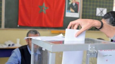 صورة القاسم الانتخابي سيمكن من الرفع من نسبة المشاركة وتحقيق العدالة الانتخابية (باحث)