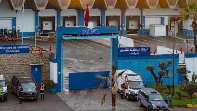 صورة سفير روسيا لدى الرباط.. أمور تقنية ومالية تؤخر تزويد المغرب بلقاح “سبوتنيك V”