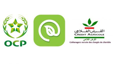 صورة مجموعة المكتب الشريف للفوسفاط و “مجموعة القرض الفلاحي للمغرب” توحدان جهودهما لتسهيل ولوج الفلاحين إلى الحلول الرقمية للتمويل
