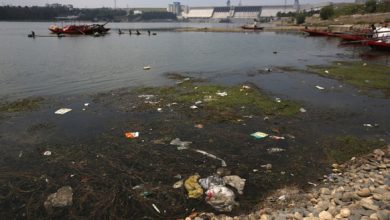 صورة الجزائر .. كارثة إيكولوجية بعد تحويل مياه الصرف الصحي صوب وادي “تافراوت”