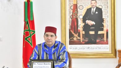 صورة السيد ناصر بوريطة يتباحث مع نظيره المصري