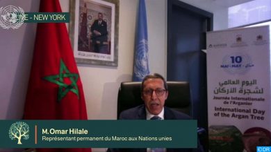 صورة شجرة الأركان.. الأمم المتحدة تدعم رؤية جلالة الملك بشأن الحفاظ على هذا الموروث العالمي (عمر هلال)