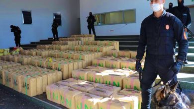 صورة الدار البيضاء.. إجهاض محاولة للتهريب الدولي للمخدرات وحجز ثمانية أطنان و990 كيلوغرام من مخدر الشيرا