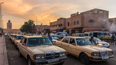 صورة صرف أزيد من 300 مليون درهم في إطار الدعم الاستثنائي المخصص لمهنيي قطاع النقل الطرقي (وزير)
