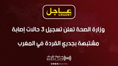 صورة جدري القردة.. ثلاث حالات يشتبه في إصابتها بالمغرب وعدم تسجيل أي حالة مؤكدة (وزارة)