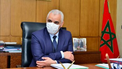 صورة جدري القردة.. حالة واحدة مؤكدة وأخرى مشتبهة الى حدود اليوم (وزير)