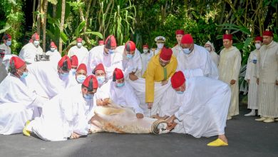 صورة أمير المؤمنين يؤدي صلاة عيد الأضحى ويقوم بنحر أضحية العيد