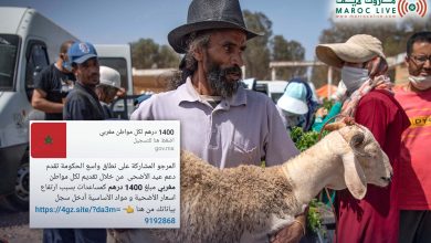 صورة الحكومة تنفي صحة ما يروج داخل إعلانات بخصوص الاستفادة من دعم بمناسبة عيد الأضحى