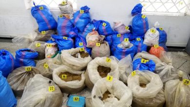 صورة تطوان.. حجز طن و350 كيلوغرام من مخدر الشيرا وتفكيك شبكة إجرامية تنشط في التهريب الدولي للمخدرات