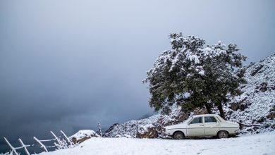 صورة نشرة إنذارية.. تساقطات ثلجية كثيفة مرتقبة بعدد من مناطق المملكة