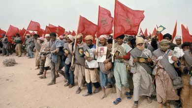 صورة ذكرى المسيرة الخضراء.. ملحمة وطنية غراء لاستكمال الوحدة الترابية للمملكة