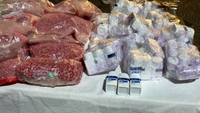 صورة إجهاض محاولة لتهريب أزيد من 173 ألف قرص مخدر بميناء طنجة المتوسط (بلاغ)