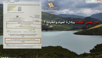 صورة من يحمي الفساد بإدارة المياه والغابات؟ (وثائق)