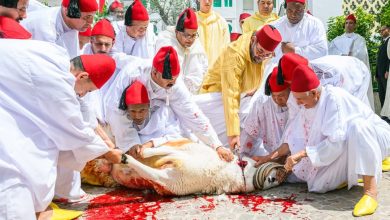 صورة أمير المؤمنين يؤدي صلاة عيد الأضحى المبارك بمسجد الحسن الثاني بتطوان ويتقبل التهاني بهذه المناسبة السعيدة