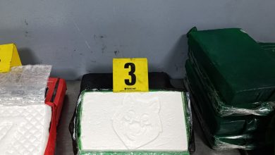 صورة ميناء طنجة المتوسط.. إحباط عملية تهريب 52 كيلوغرامًا من الكوكايين قادمة من البرازيل