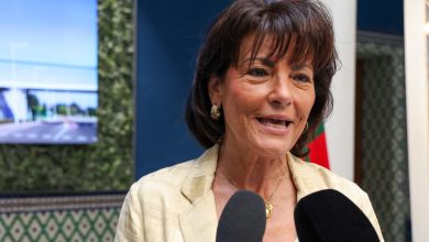 صورة رئيسة لجنة الشؤون الاقتصادية بمجلس الشيوخ الفرنسي تشيد بدينامية المغرب في مجال الطاقات المتجددة