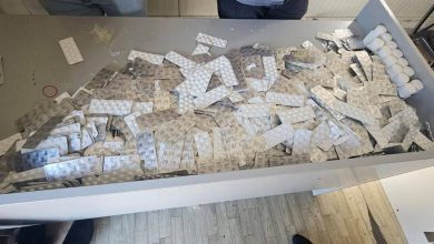 صورة طنجة المتوسط.. إجهاض عملية تهريب 21 ألف و142 قرص طبي مخدر