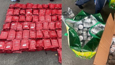 صورة طنجة المتوسط.. إحباط تهريب “المعسل” ومكملات غذائية مهربة قادمة من فرنسا