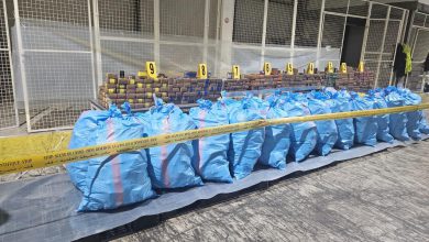 صورة ميناء طنجة المتوسط.. إجهاض محاولة تهريب 8 أطنان و196 كلغ من مخدر الشيرا